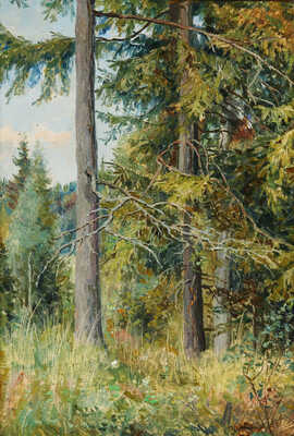 Морозов Константин Феофанович. Хвойный лес 